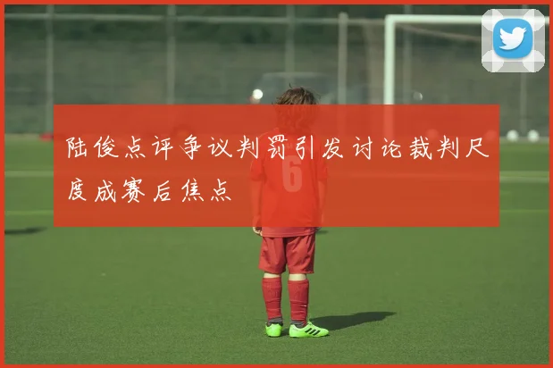 陆俊点评争议判罚引发讨论裁判尺度成赛后焦点