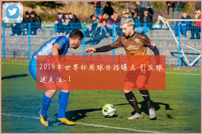 2018年世界杯用球价格曝光 引发球迷关注_1