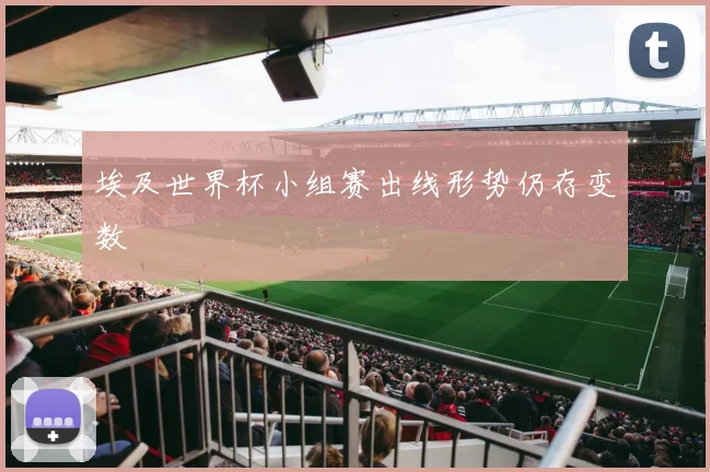 埃及世界杯小组赛出线形势仍存变数