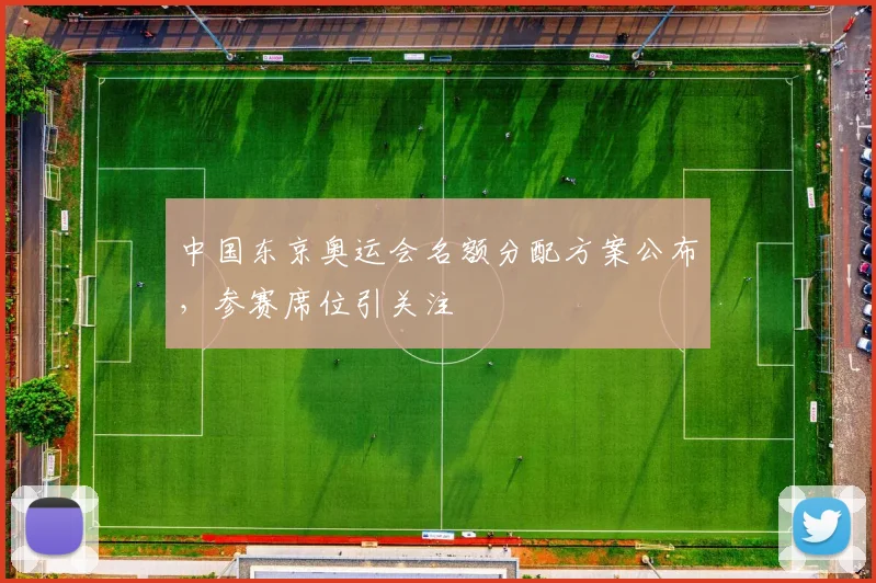 中国东京奥运会名额分配方案公布，参赛席位引关注
