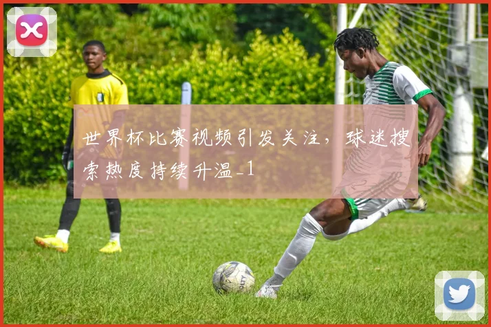 世界杯比赛视频引发关注，球迷搜索热度持续升温_1