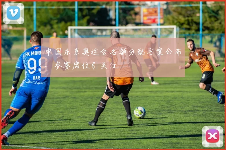 中国东京奥运会名额分配方案公布，参赛席位引关注