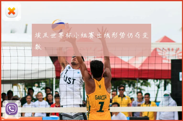 埃及世界杯小组赛出线形势仍存变数