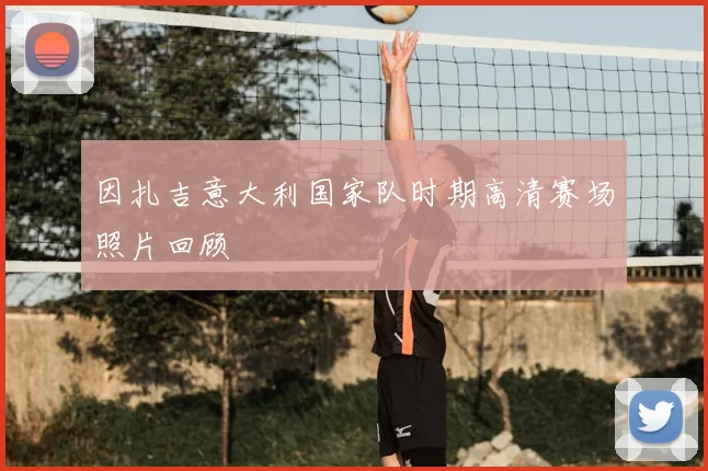 因扎吉意大利国家队时期高清赛场照片回顾