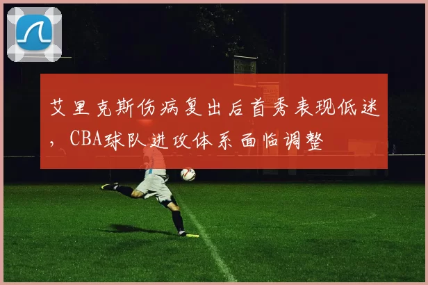 艾里克斯伤病复出后首秀表现低迷，CBA球队进攻体系面临调整